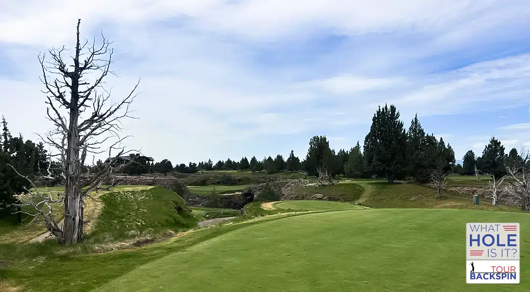 A picture of the golf hole used in the WHAT HOLE IS IT? contest from Tour Backspin